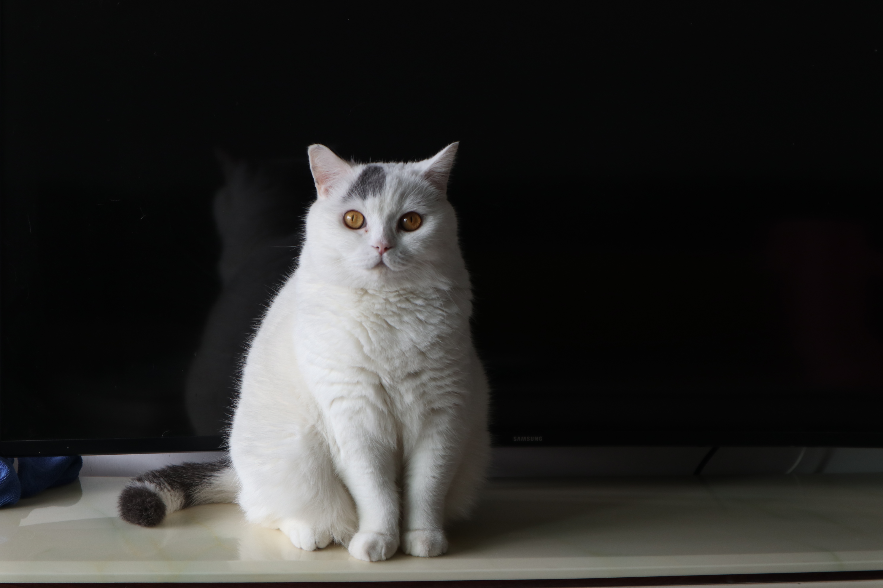 test image